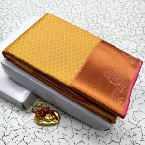 EXCLUSIVE BRIDAL SAREE