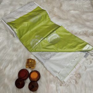 KANCHIPURAM SOFT SILK